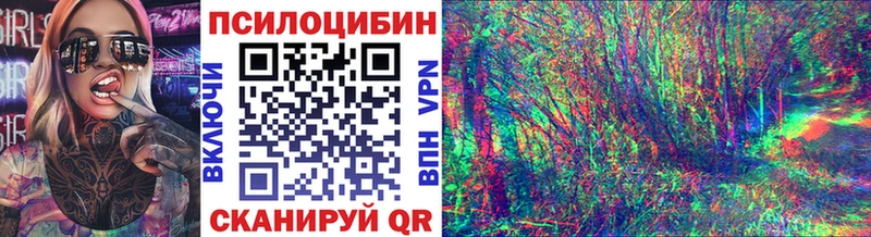 Галлюциногенные грибы Psilocybe  купить  сайты  Белозерск 